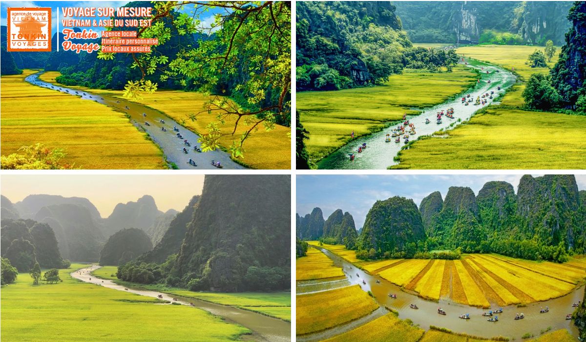 Baie d'Halong terrestre, Mai Ch&acirc;u, P&ugrave; Lu&ocirc;ng, Sapa, M&ugrave; Cang Chải : comparez les p&eacute;riodes de maturit&eacute; du riz et choisissez les &eacute;tapes de votre voyage selon vos dates.